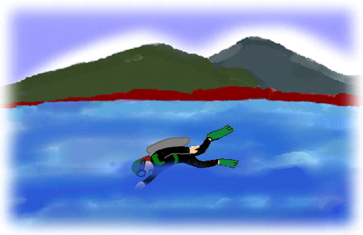 a man is diving into the lake