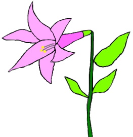 a flower