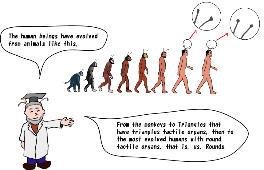 the theory of evolution