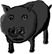 a pig