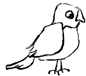 a parakeet