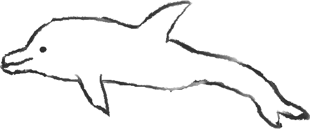 a dolphin