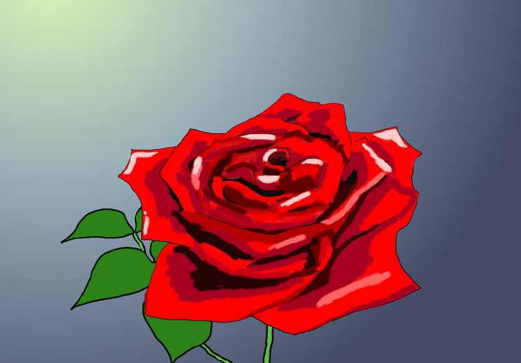 a red rose